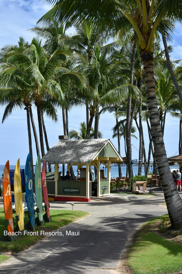 Maui