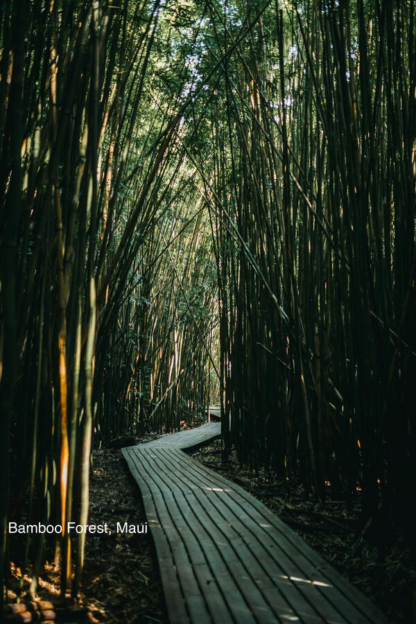 Maui