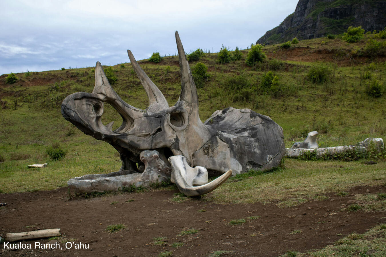 Kualoa Ranch movie site on O’ahu Hawaii